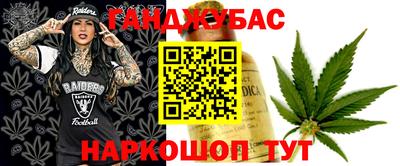 гидра Заводоуковск