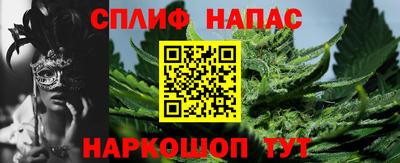 гидра Заводоуковск