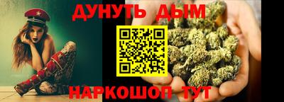 гидра Заводоуковск