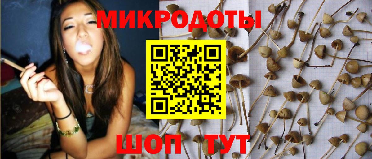 Ярцево  Галлюциногенные грибы прущие грибы  Вход с VPN  Псилоцибиновые грибы мицелий 